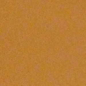 Meet your Posher, Willard